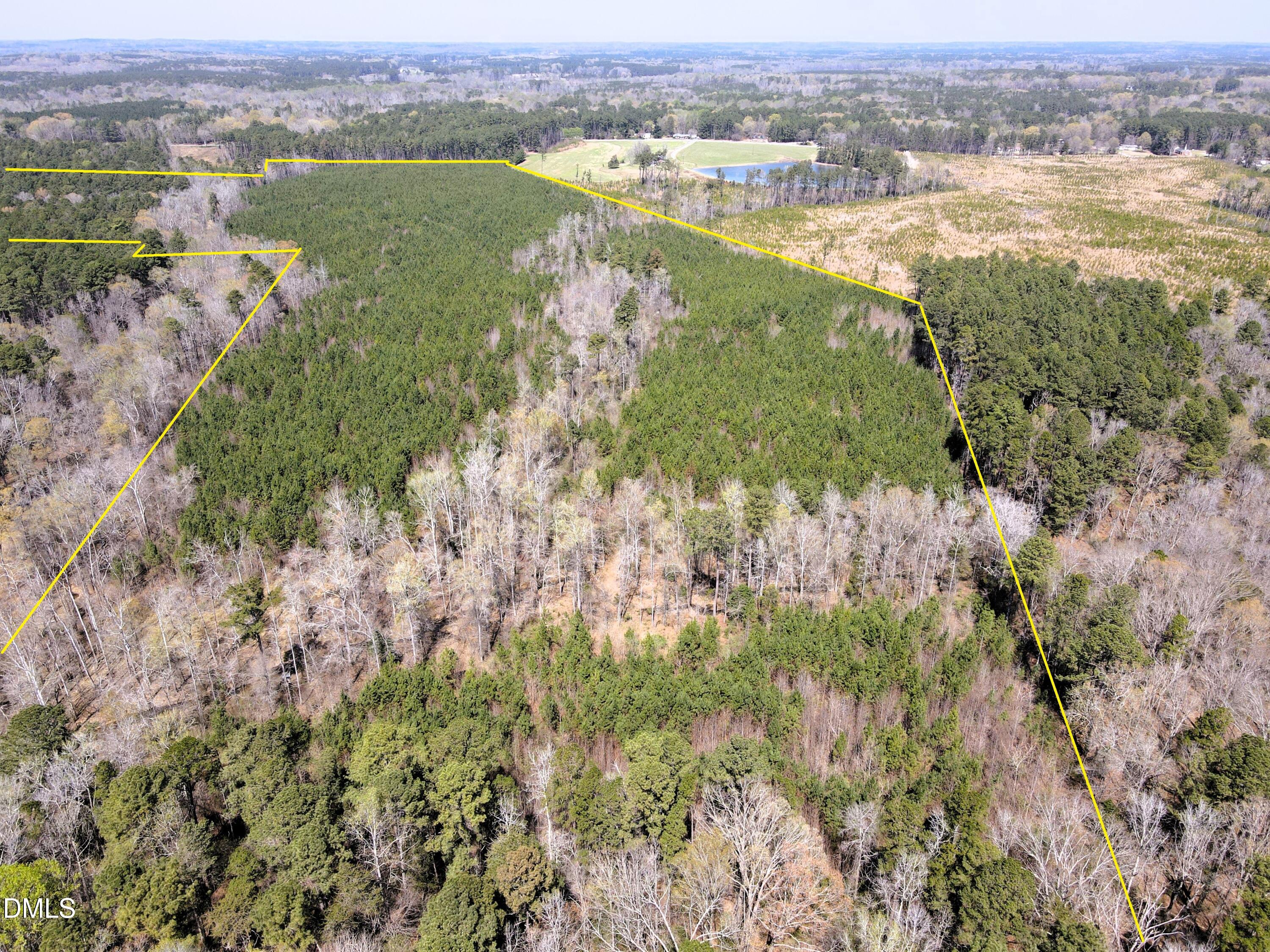 01 Collins Mountain Road