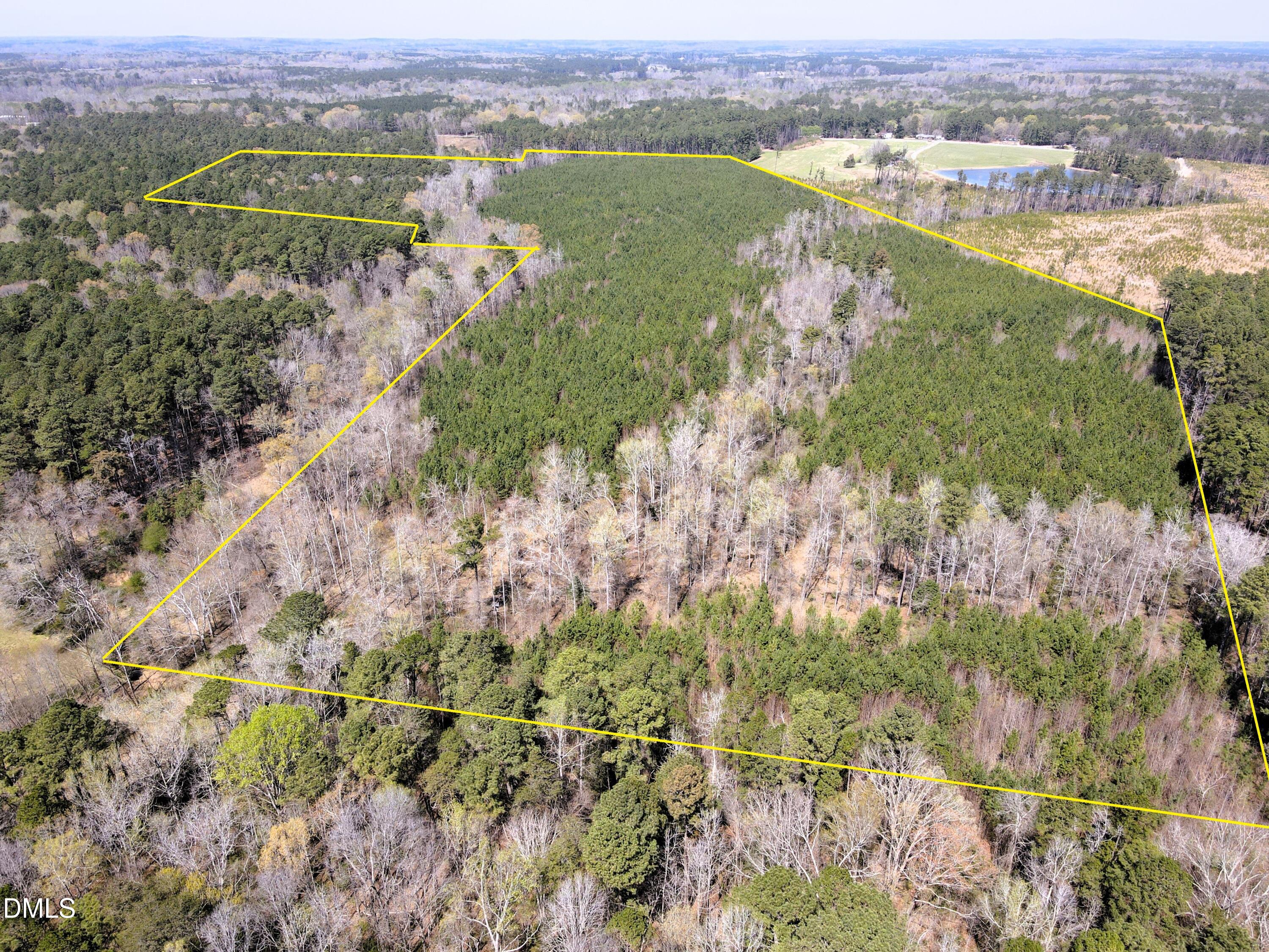 01 Collins Mountain Road