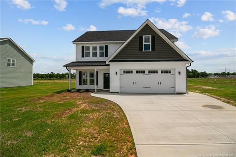 3190 Horseshoe Road Lot 1 Autryville NC 28318