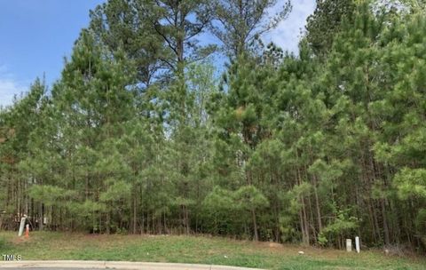 68 Larkspur Court Court Pittsboro NC 27312