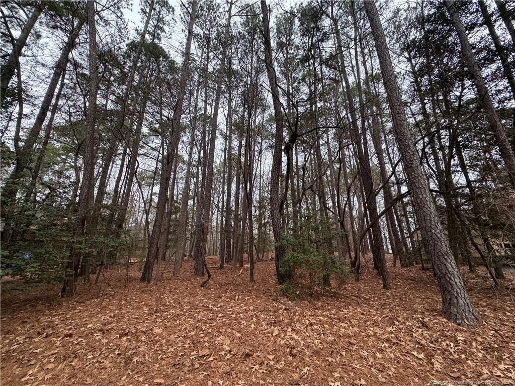 1790 Irish Boulevard