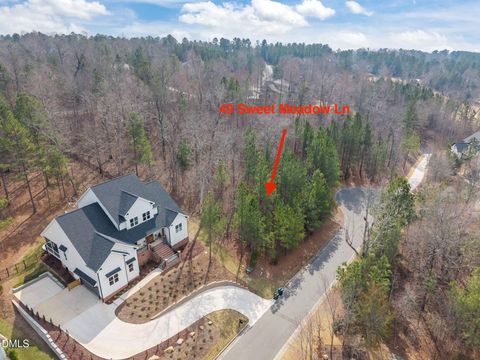 Photo of 49 Sweet Meadow Lane, Pittsboro, NC 27312 (MLS # 10149264)