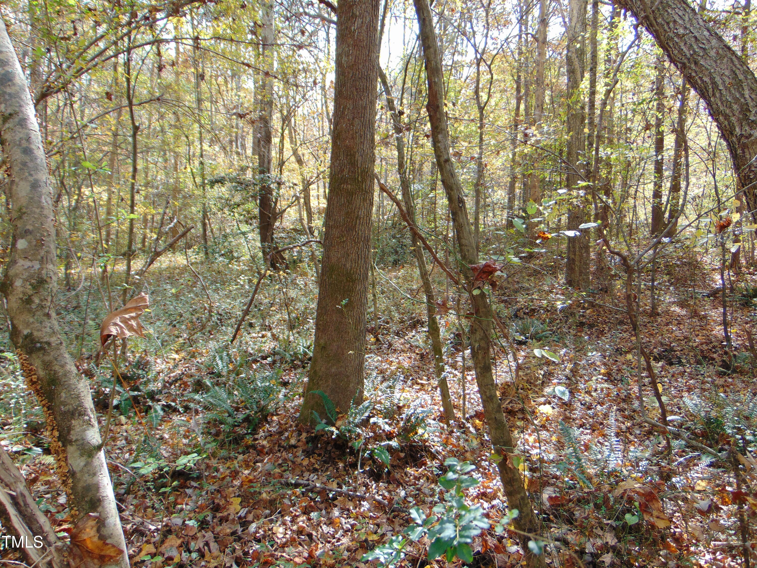 000 Big Woods Rd.