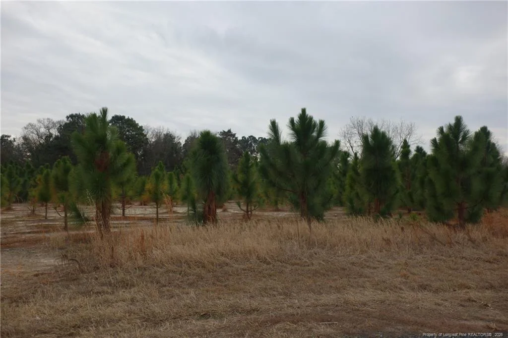 Lot 48 Stuarts Mill Road