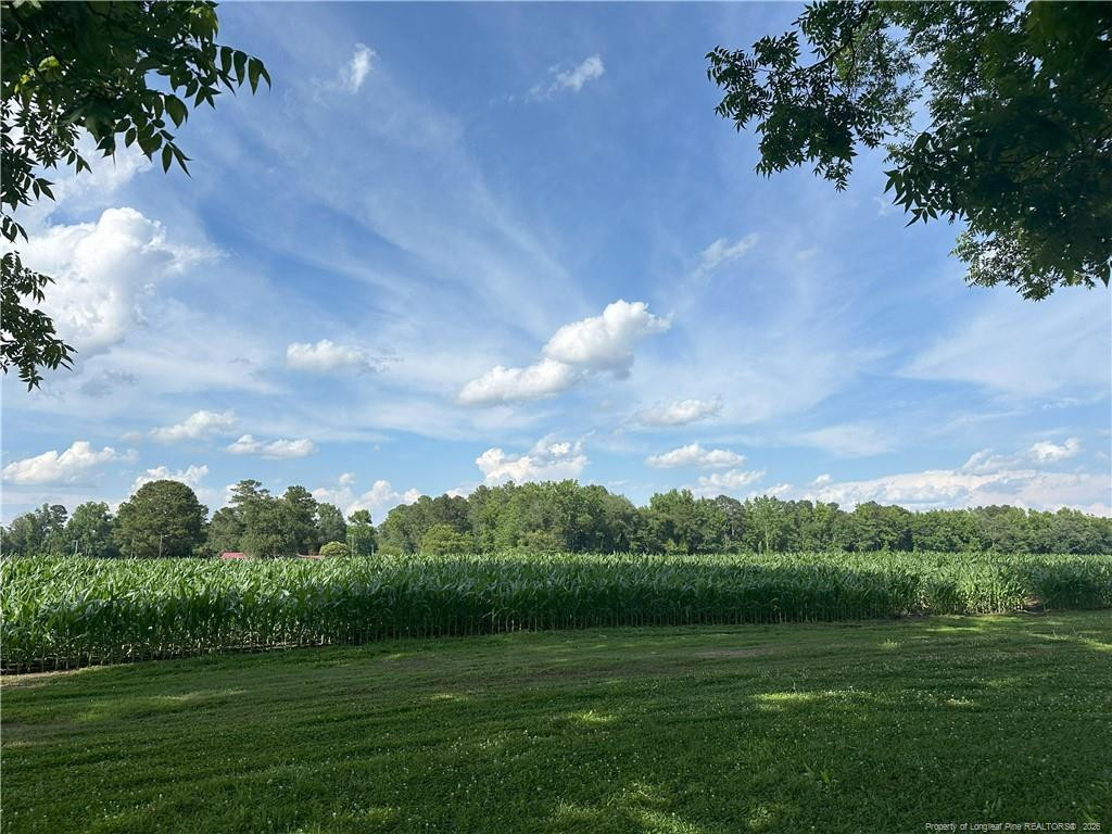 Lot A Pleasant Hope Road