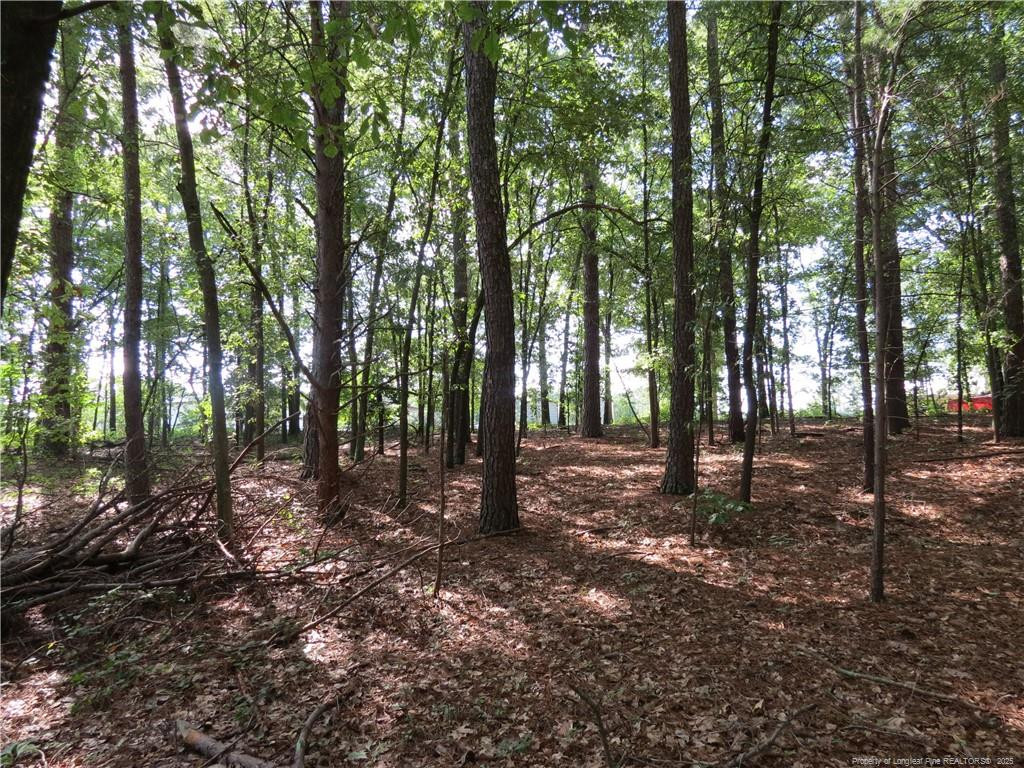 0 Rocky Fork Church Road