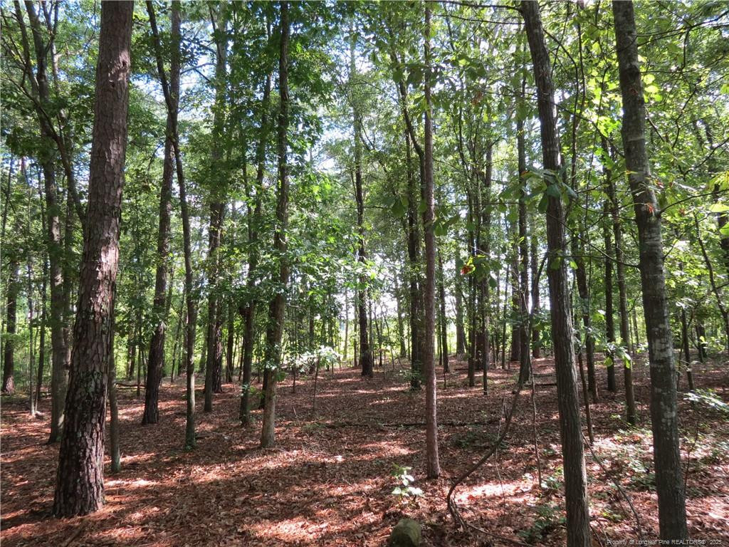 0 Rocky Fork Church Road