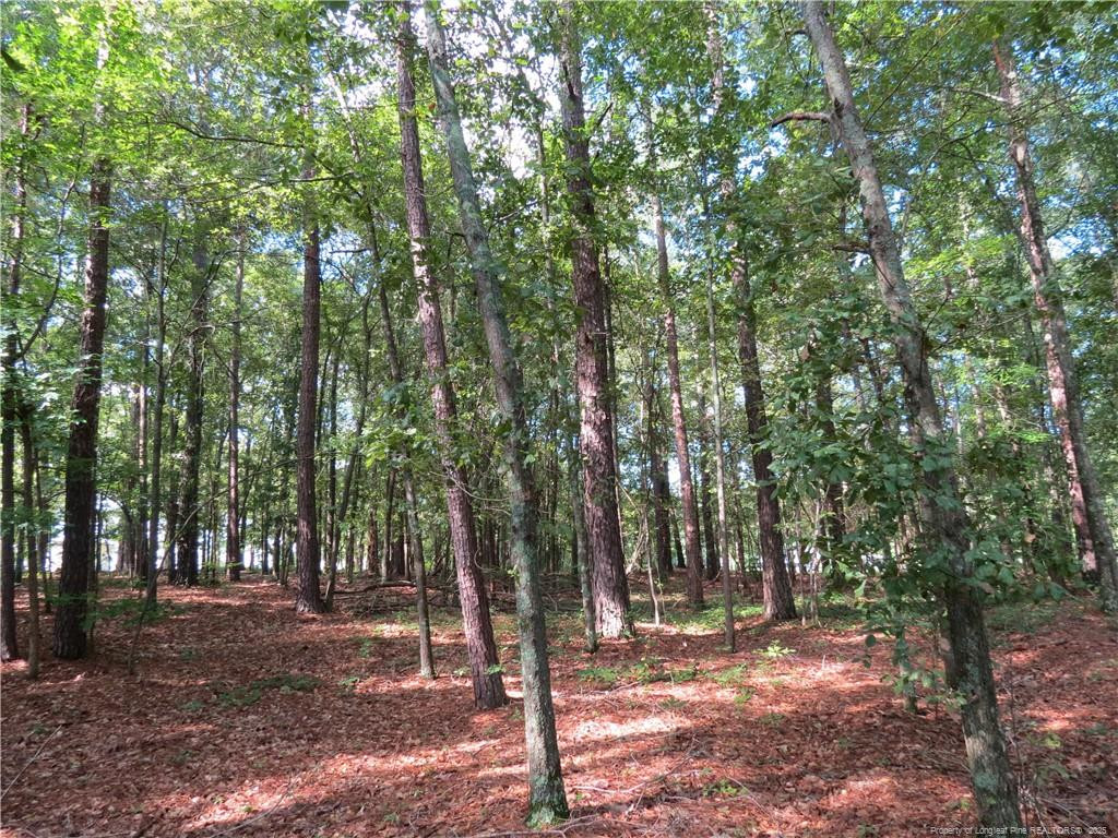 0 Rocky Fork Church Road
