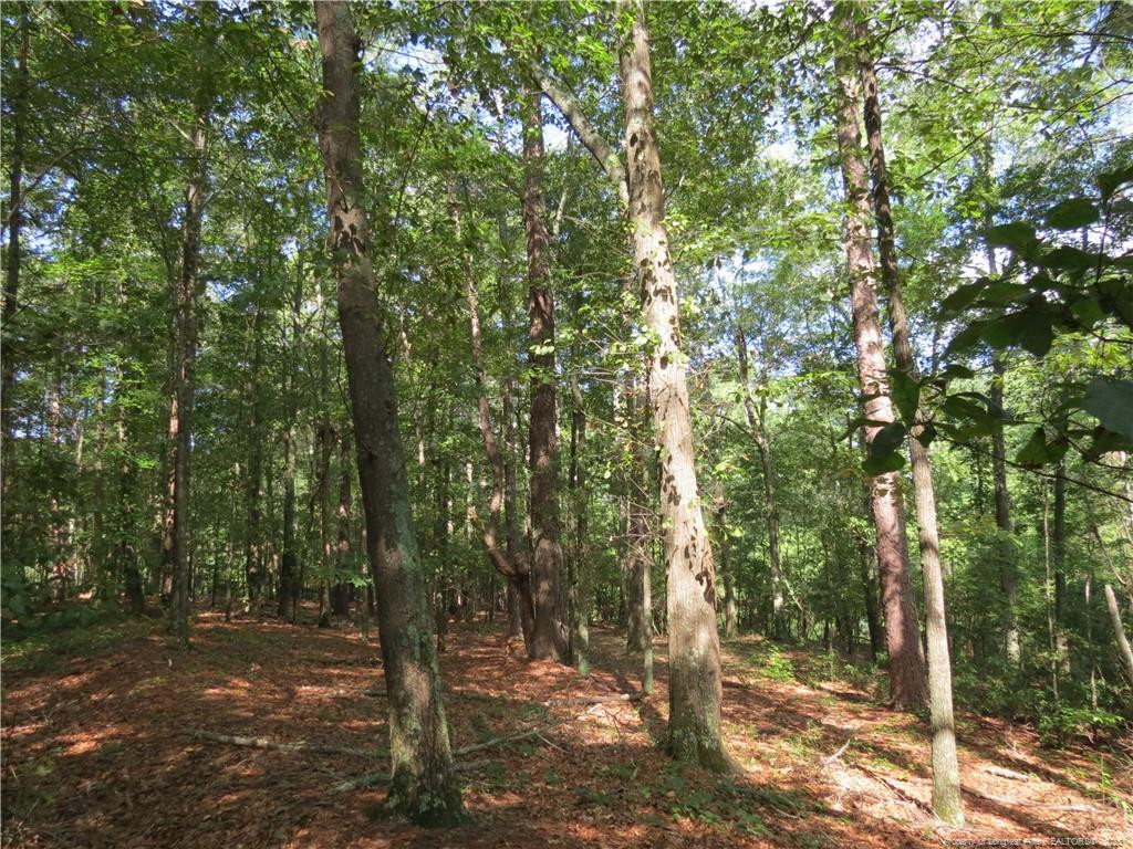0 Rocky Fork Church Road