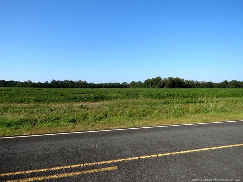 TBD Cowpen Swamp Road