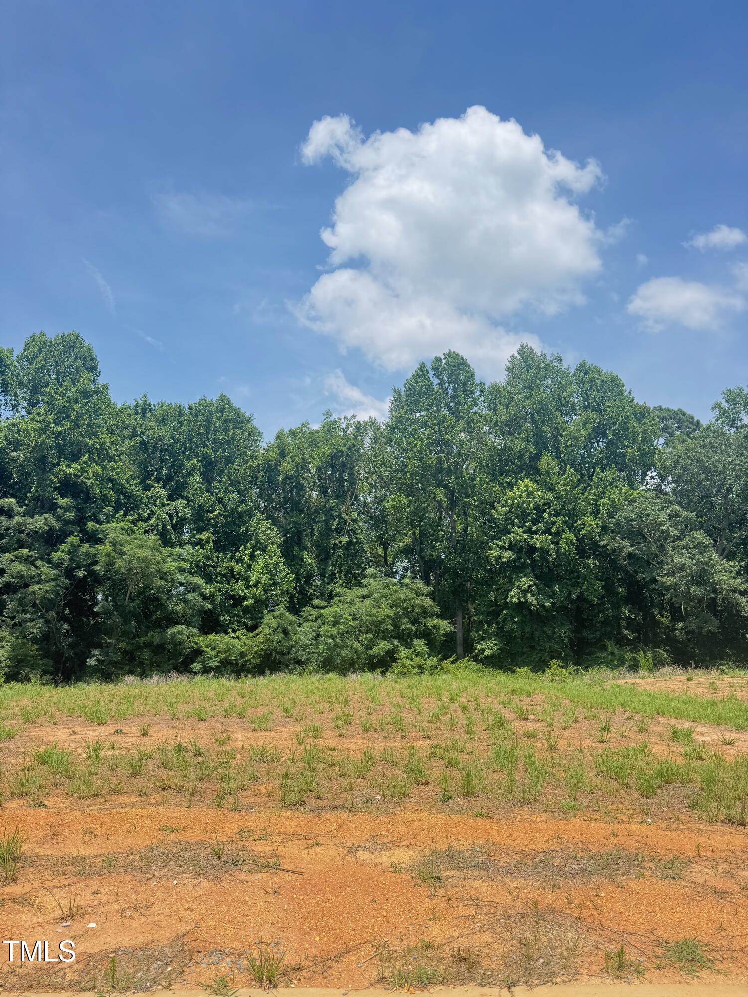 301 Hopewell Branch Court