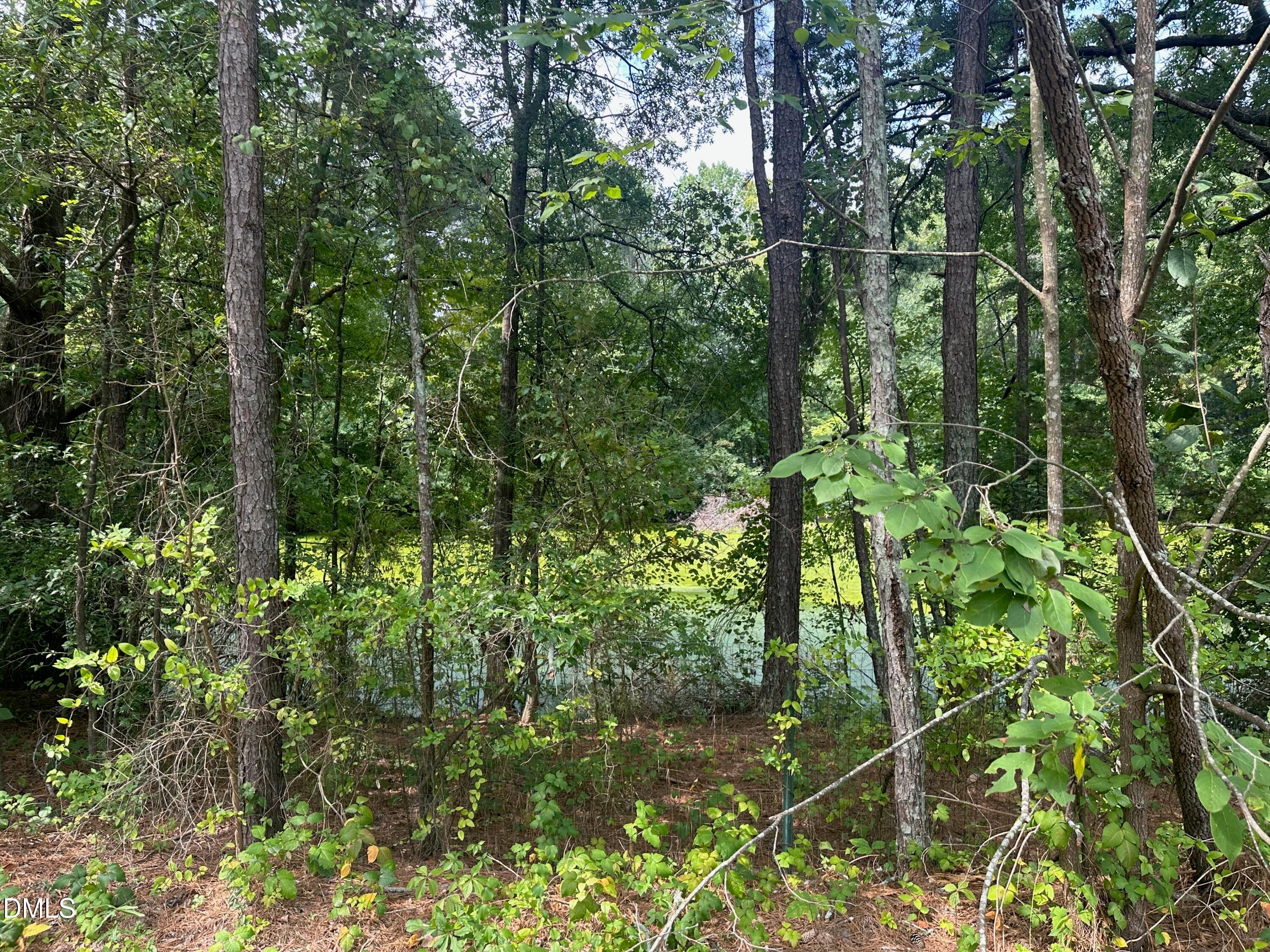 0 Lakeside Trail