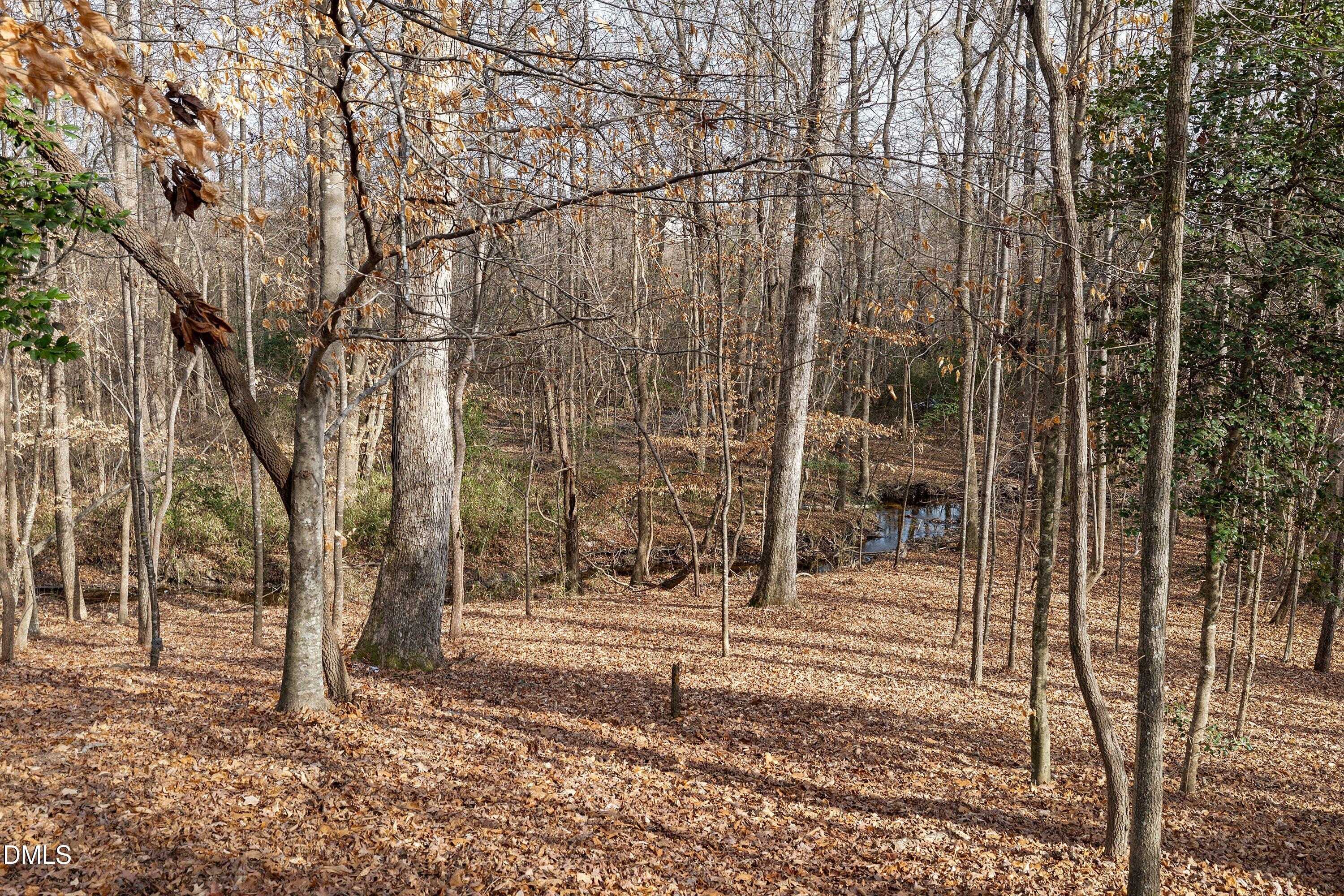 107 Smithsanders Court