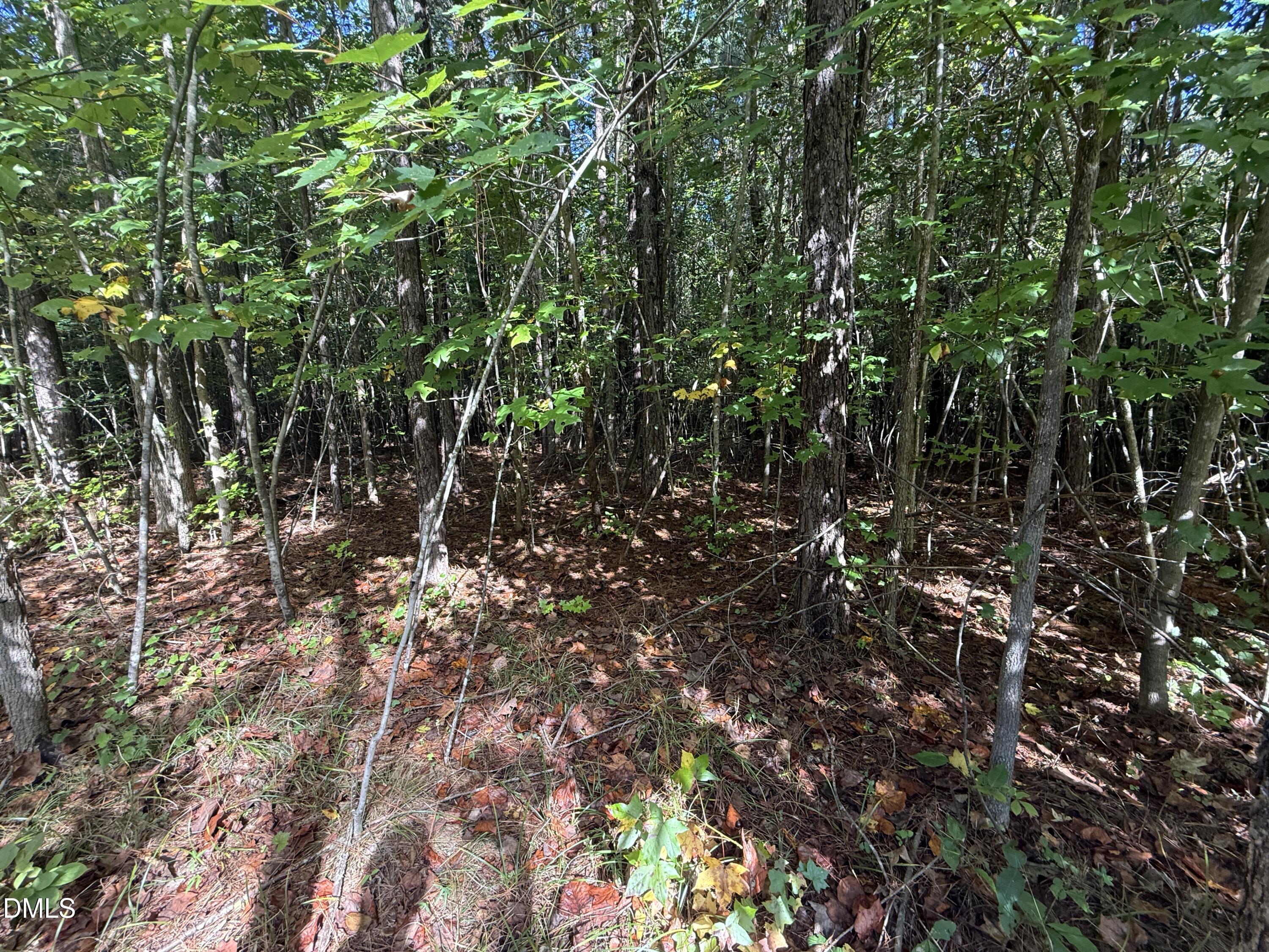 1664 Garrett Farm Road