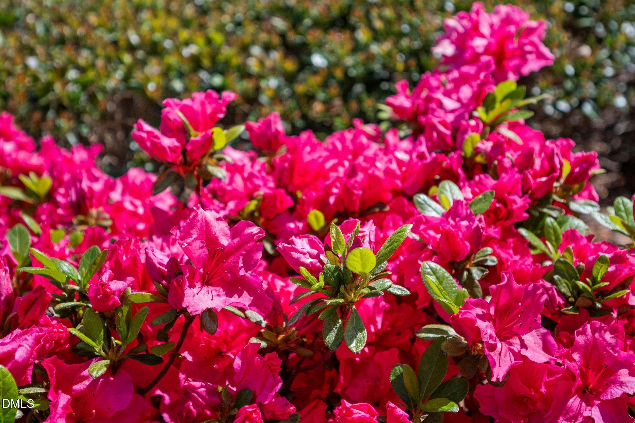 1212 Lincoln Mill Drive