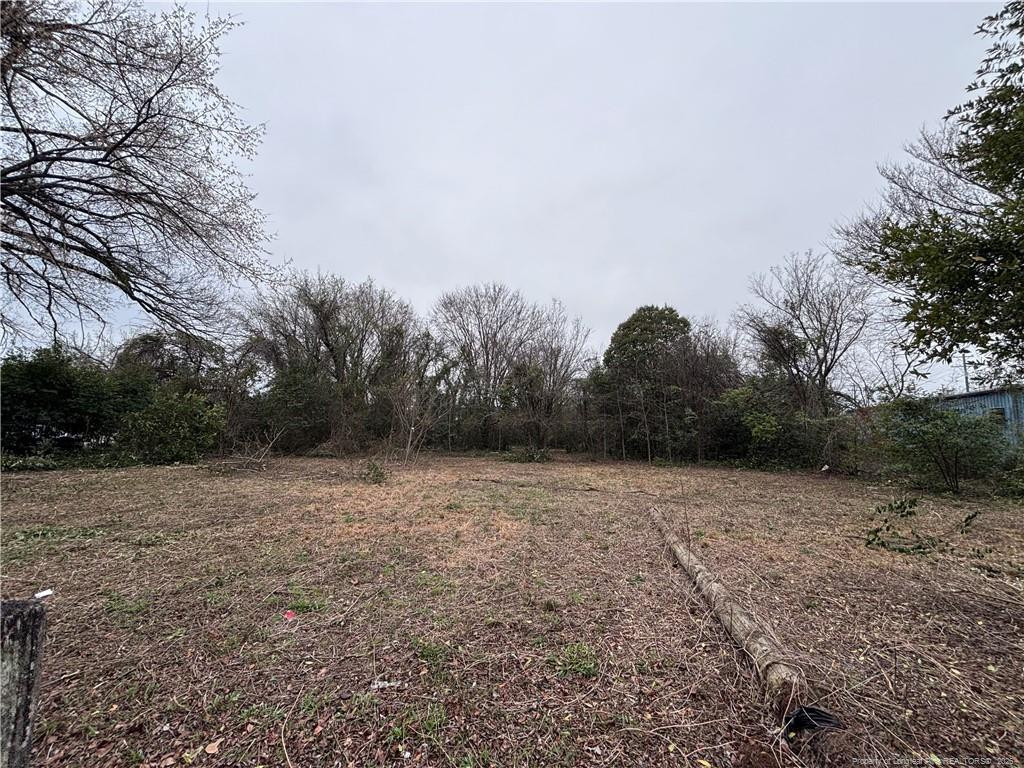 447 Hillsboro Street