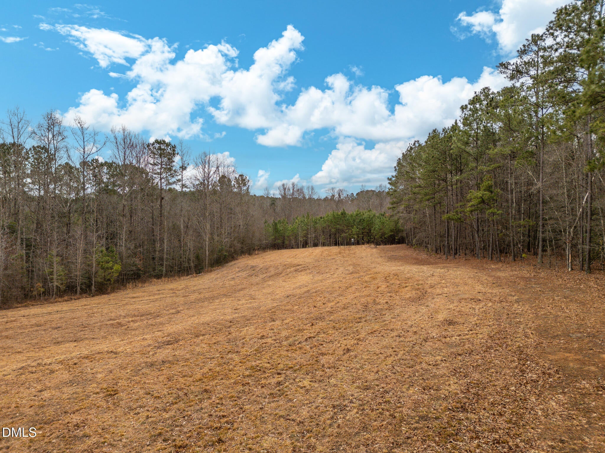 2151 Pace Farm Road, Wendell, NC, 27591