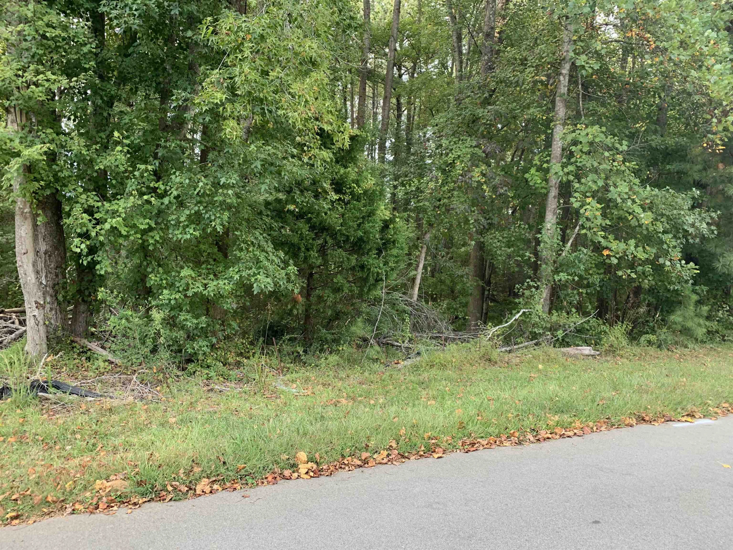 4553 Ashley View Lane