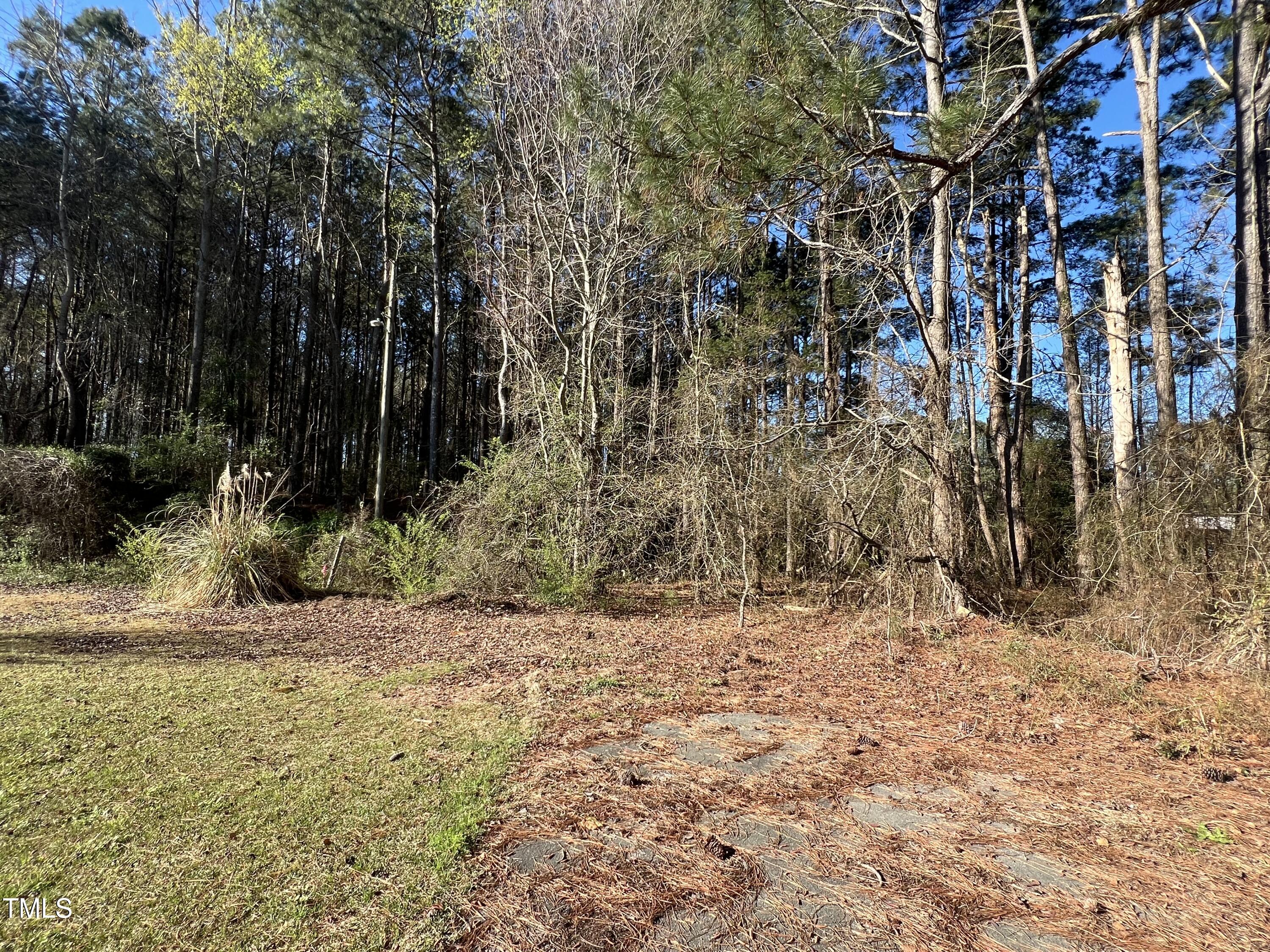 00 Wildberry Road