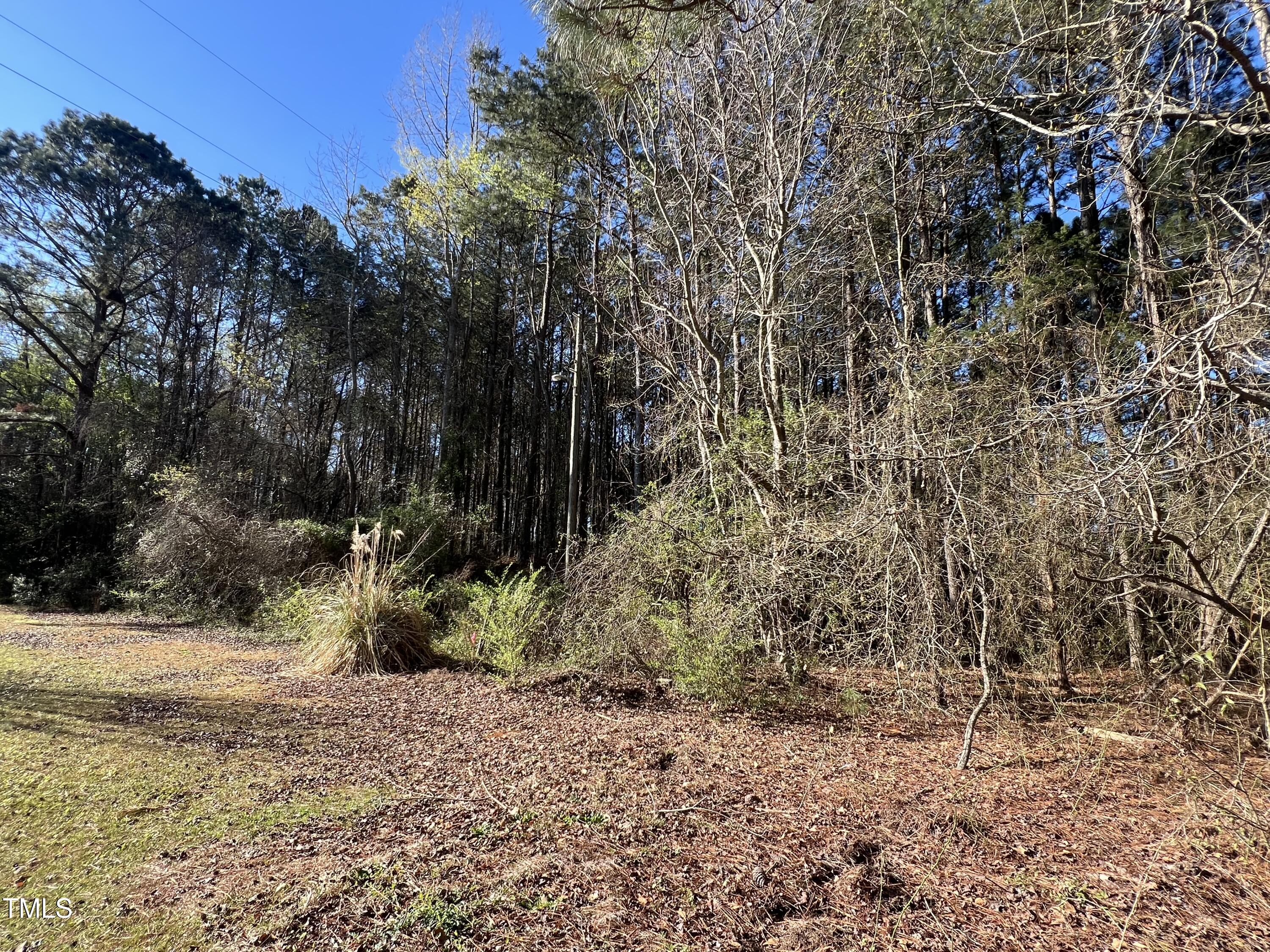00 Wildberry Road