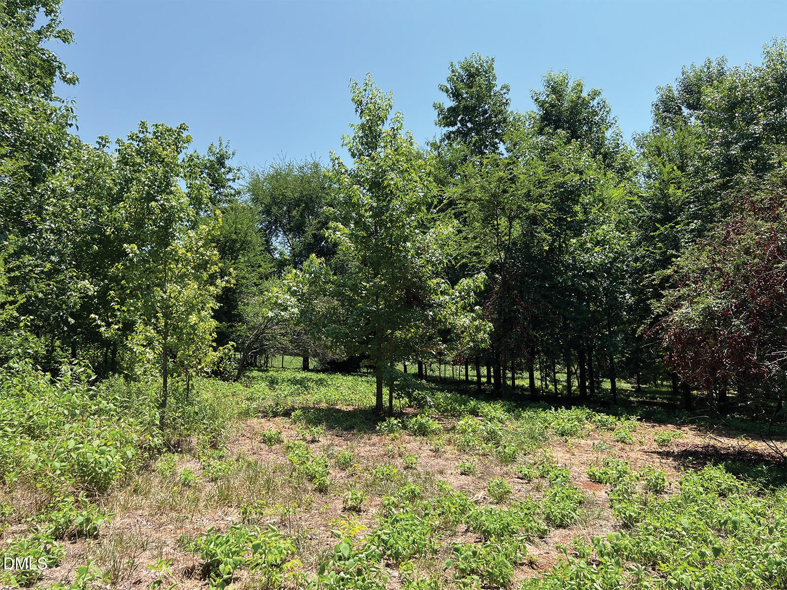 2338 Bowers Store Road