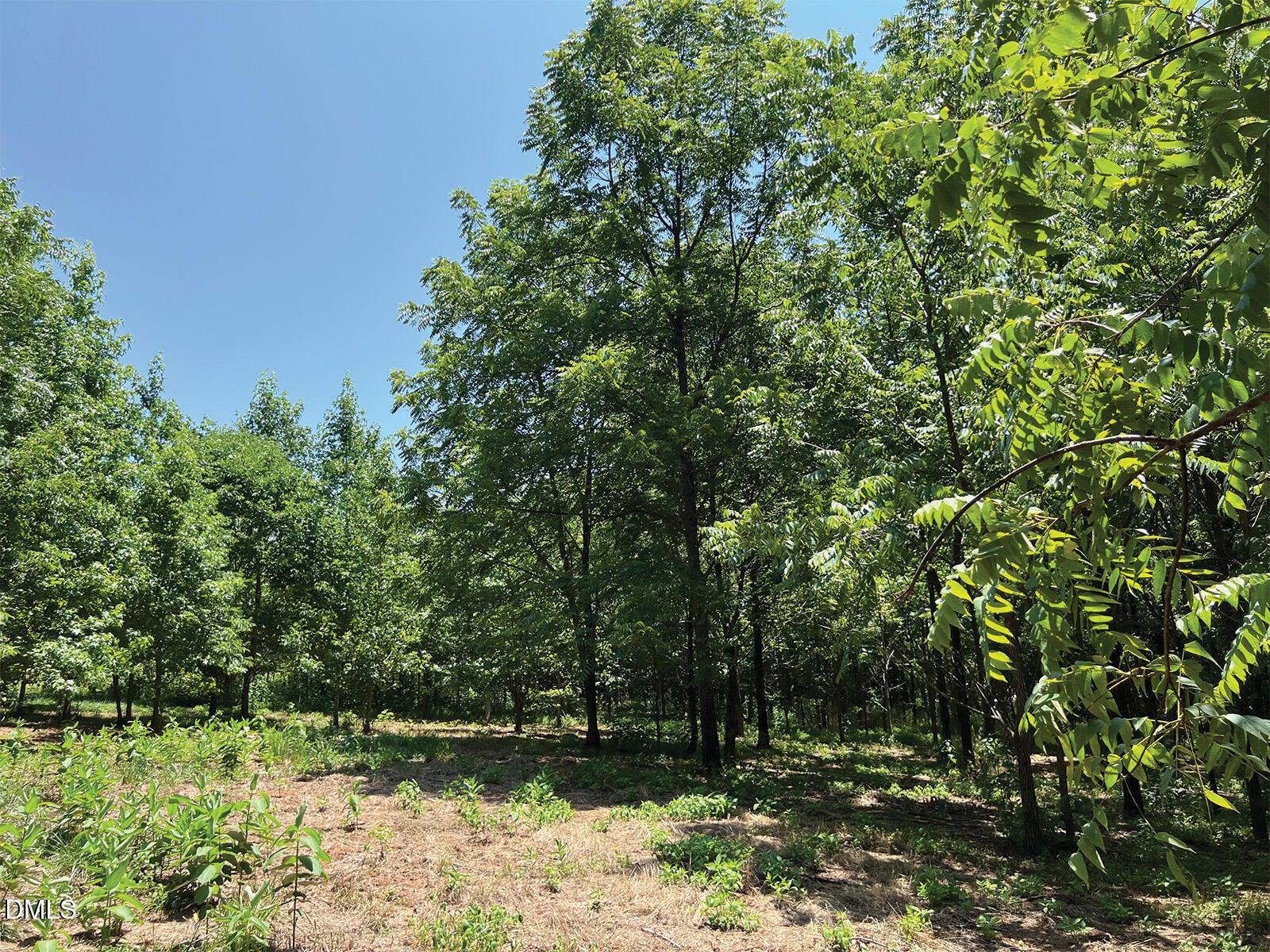 2338 Bowers Store Road