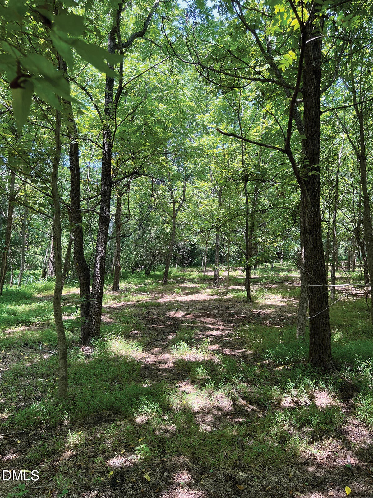 2338 Bowers Store Road