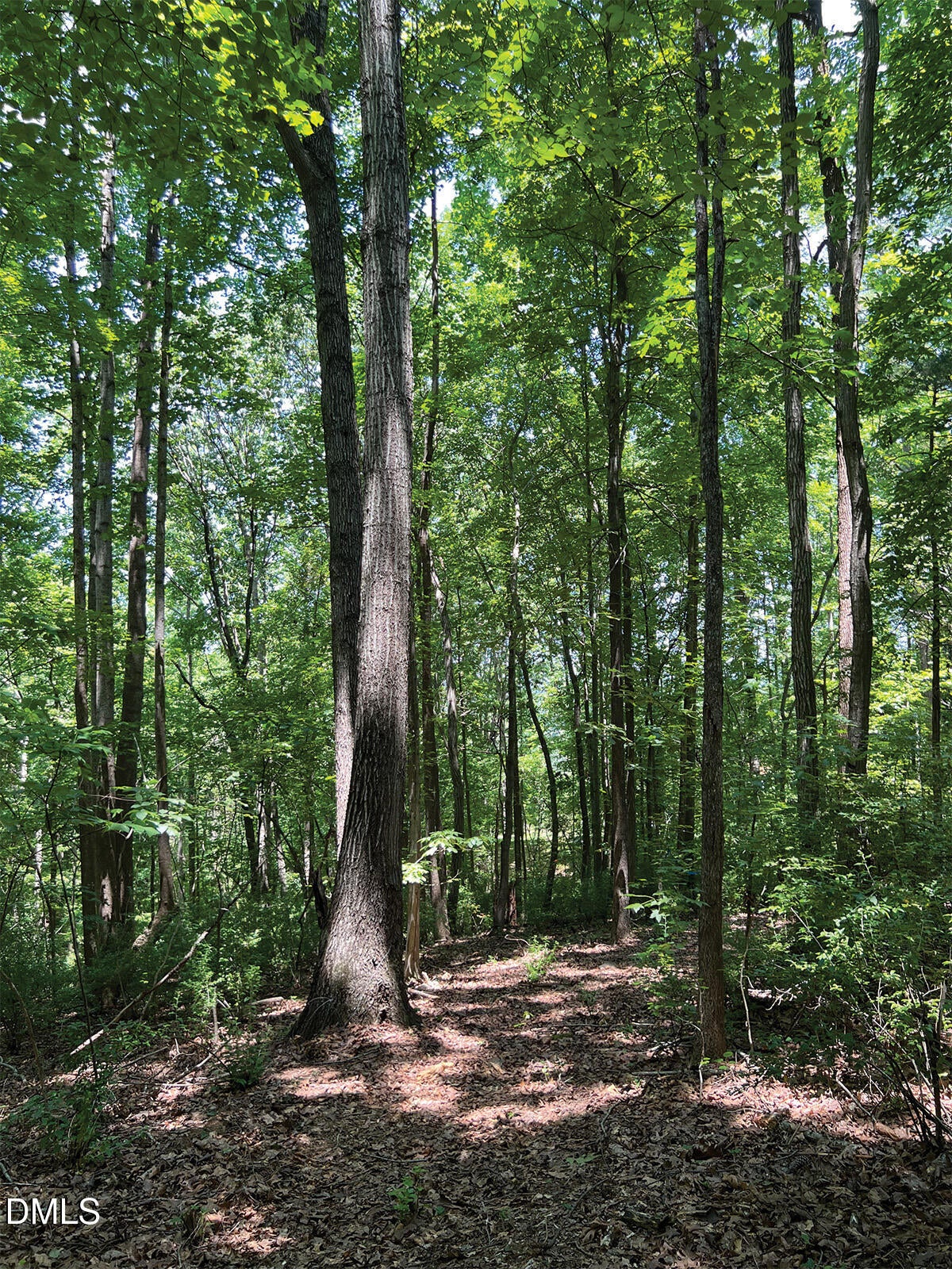 2338 Bowers Store Road