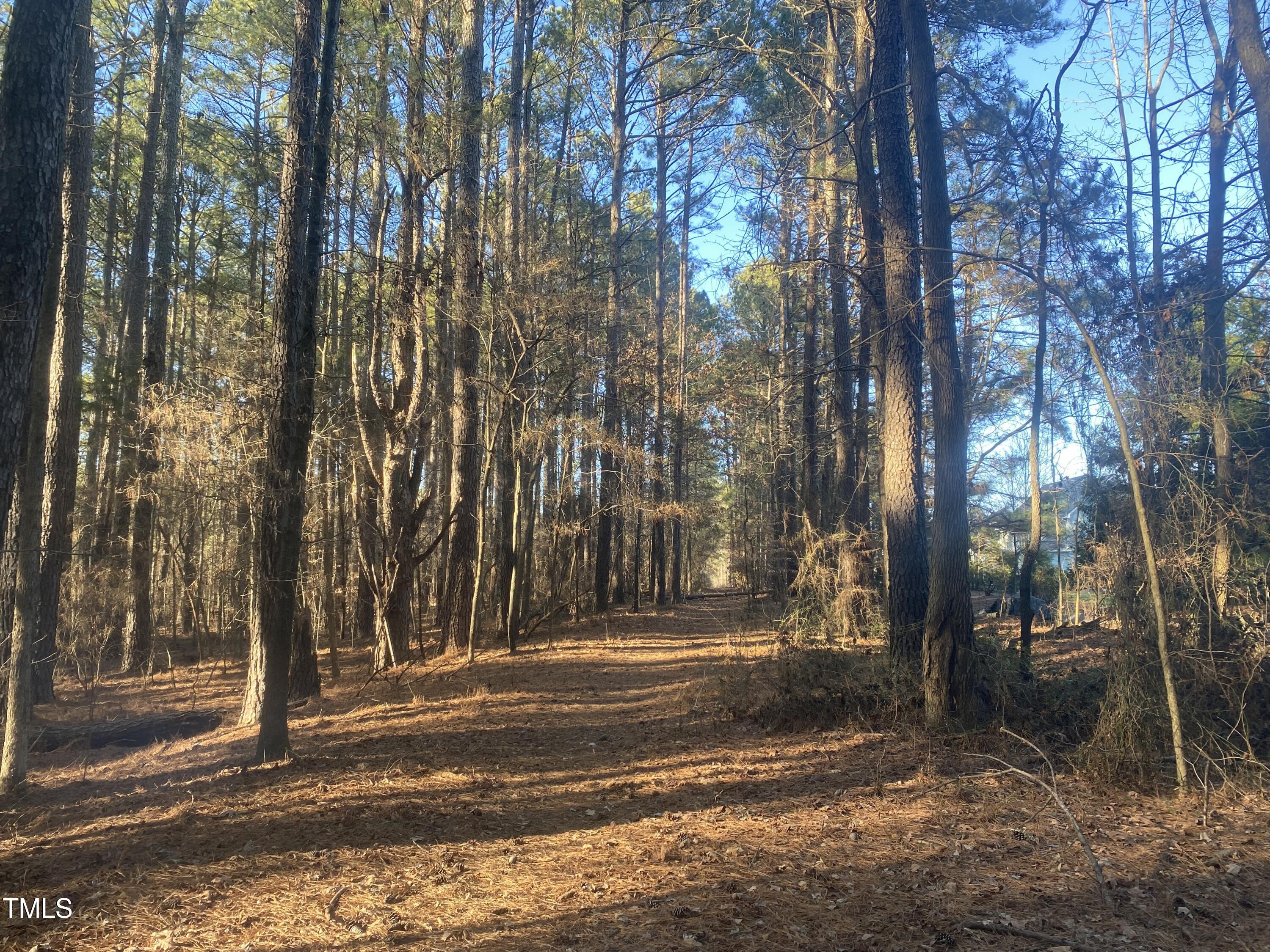 232 Curlew Drive