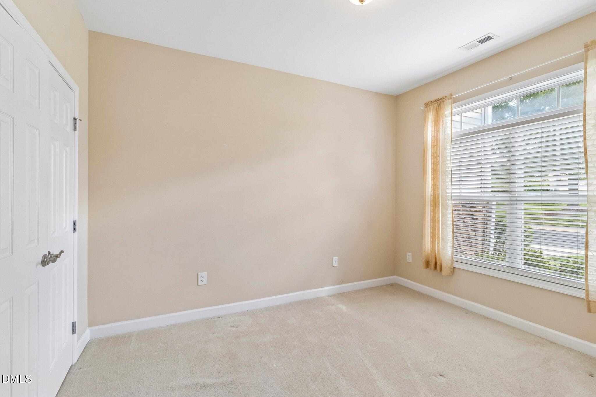 253 Meadow Beauty Drive 87