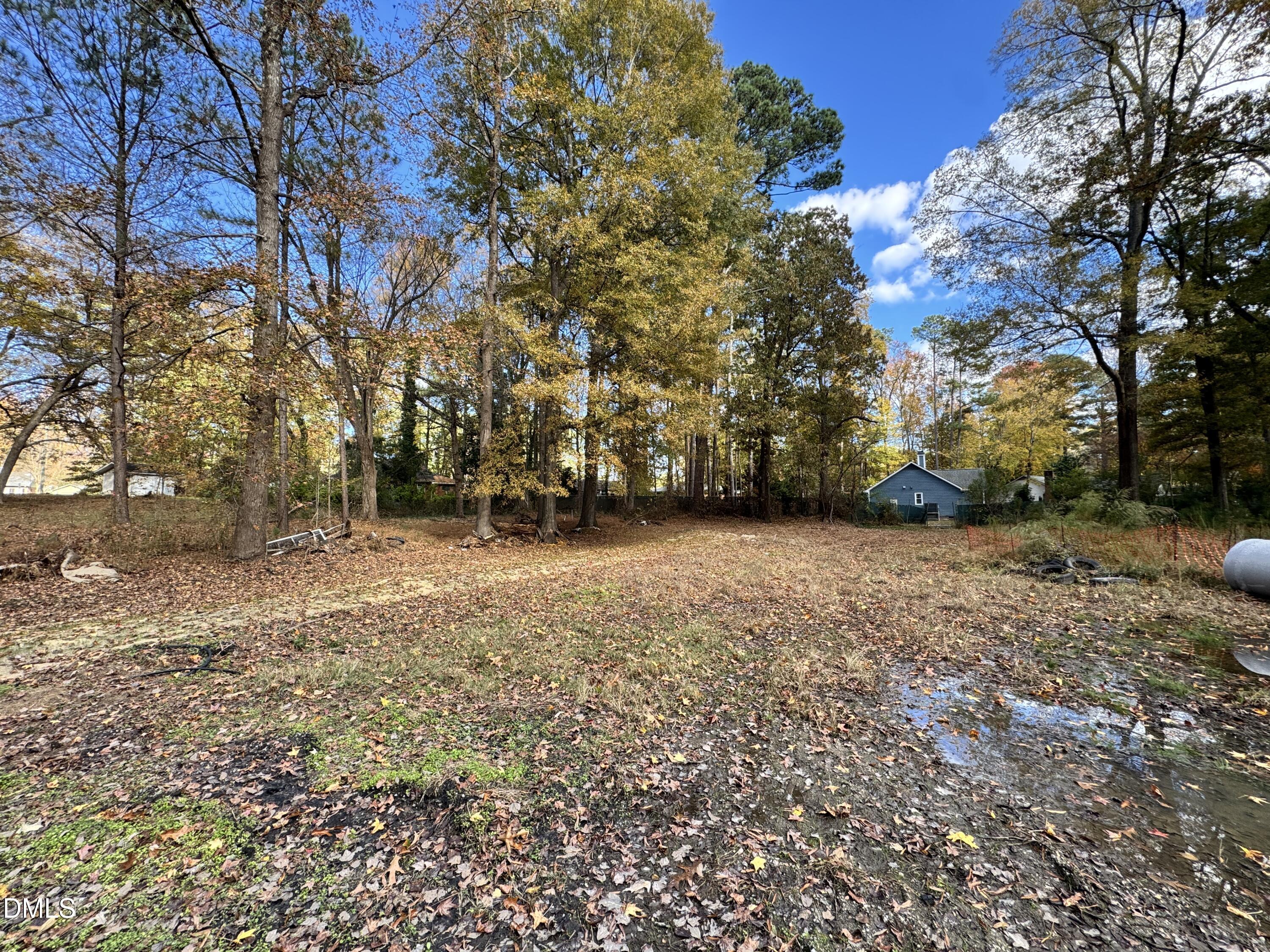 109 Forest Green Drive