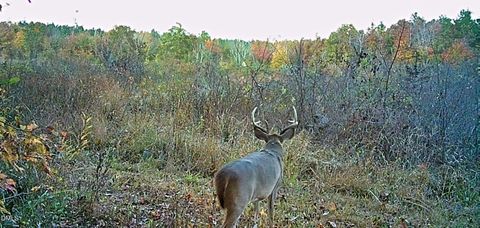 00 Pulliam Tingen Mine Road Roxboro NC 27574
