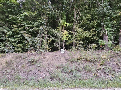 Photo for Lot 2 Doll Branch Road