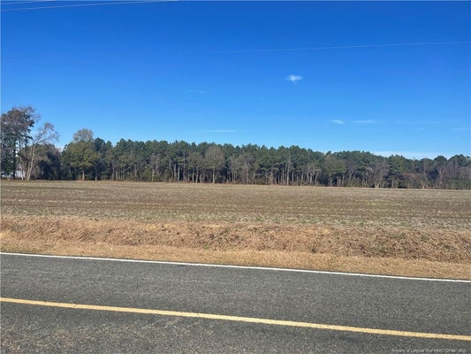 TOBACCO RD, ORRUM, NC 28369 - Image 2acecc2f6162ee44a252a82fffa04f7d/3231246443