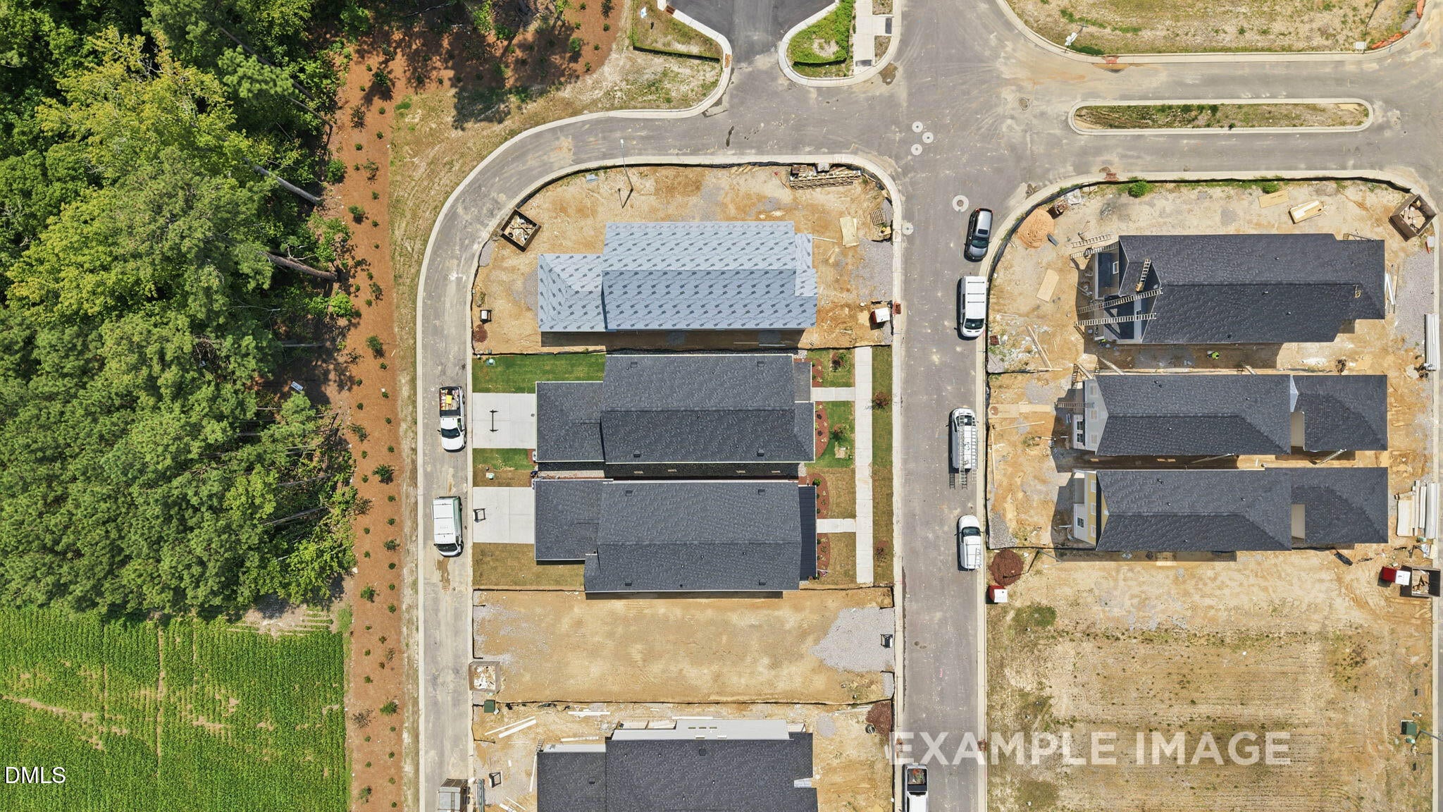 820 Carpet Grass Avenue