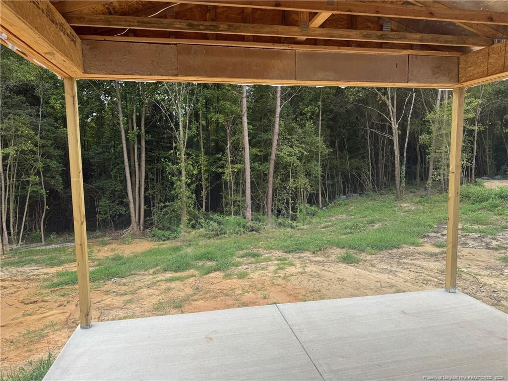 162 Surles Landing Way