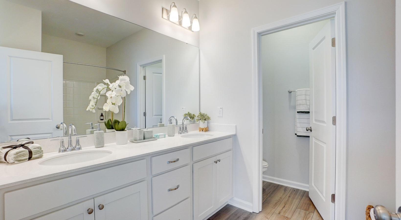 Raleigh, North Carolina 27603, United States, 3 Bedrooms Bedrooms, ,3 BathroomsBathrooms,Residential,Active,61402