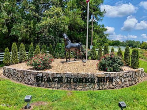 10 Ponny Court Bahama NC 27503