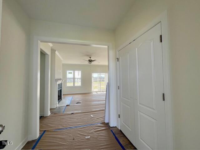 899 Olive Branch Drive