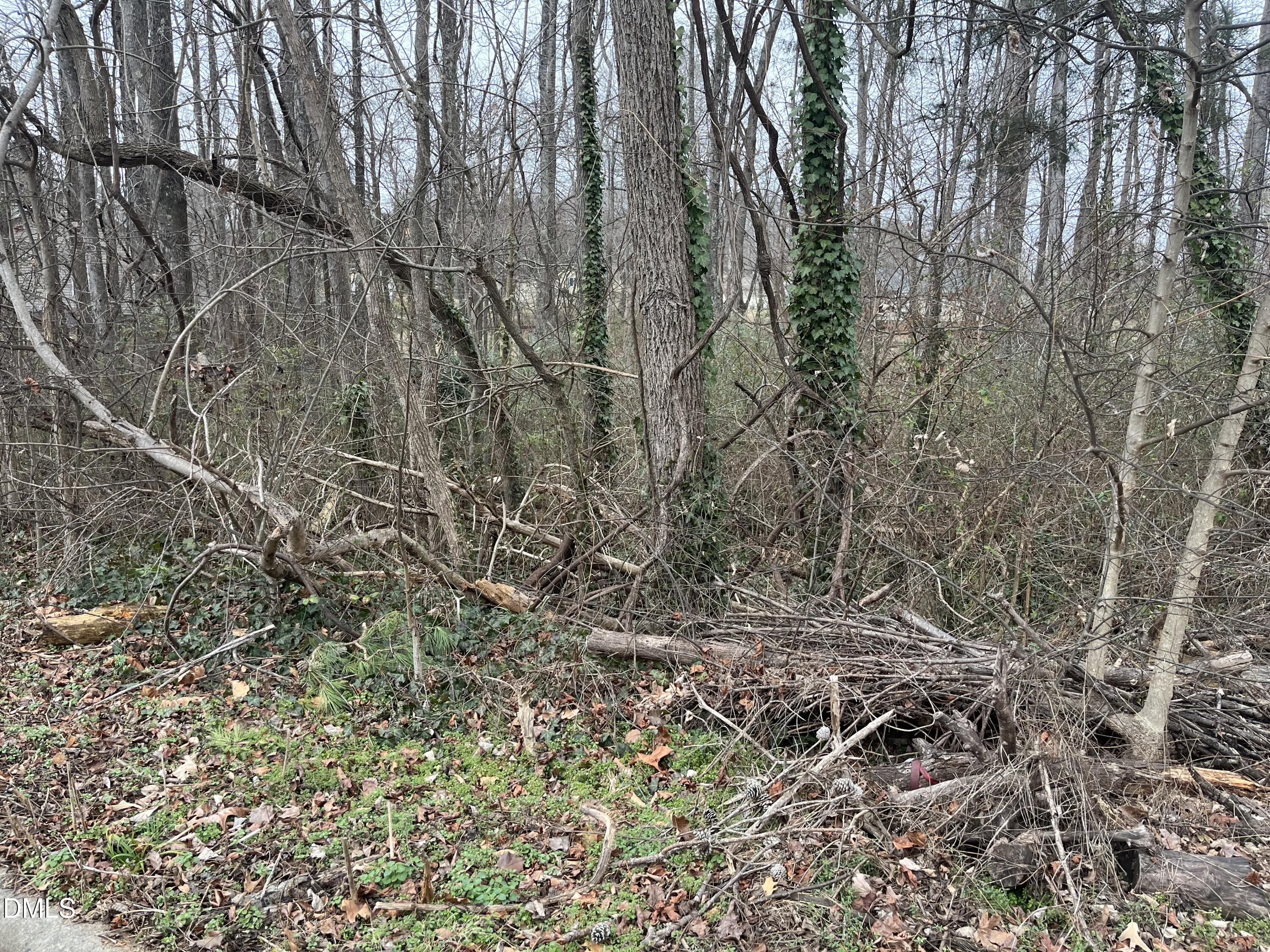 1004 Lashley Park Drive