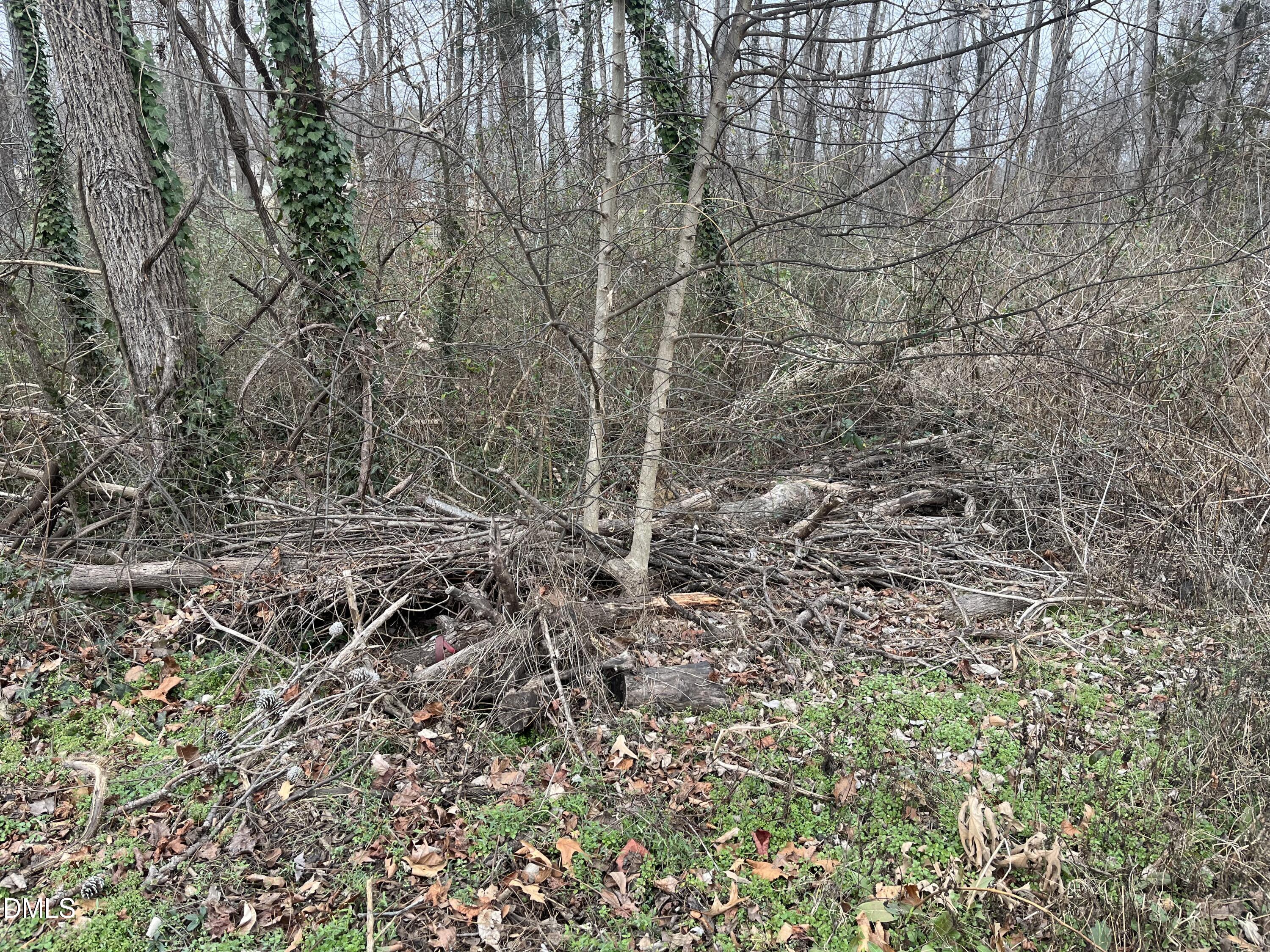 1004 Lashley Park Drive