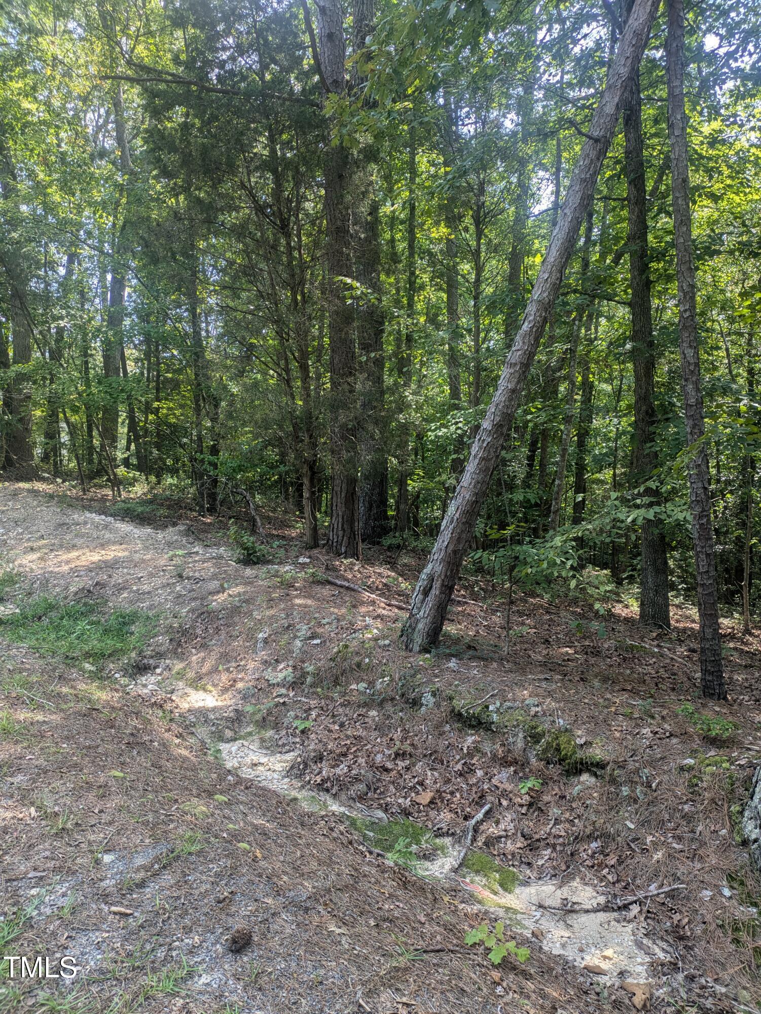 999 Natchez Trace