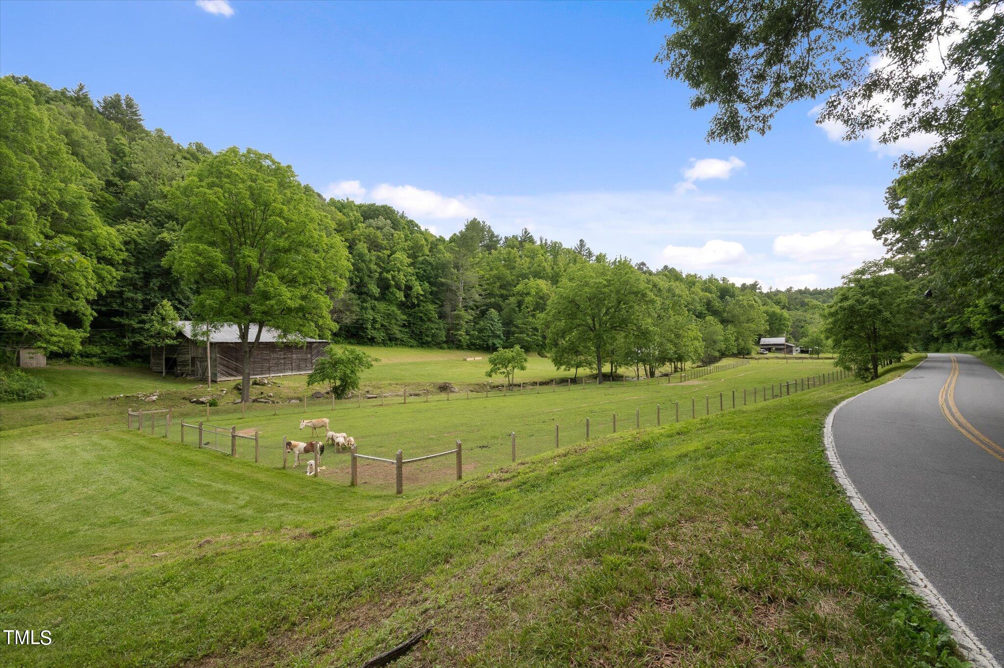 942 Paint Fork Road