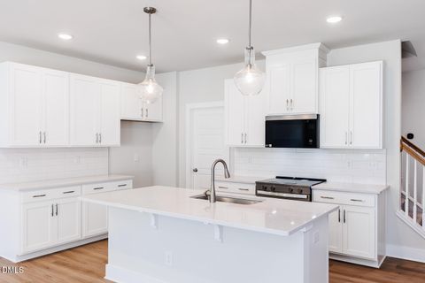 133 Silver Pine Drive Lot 49 Angier NC 27501