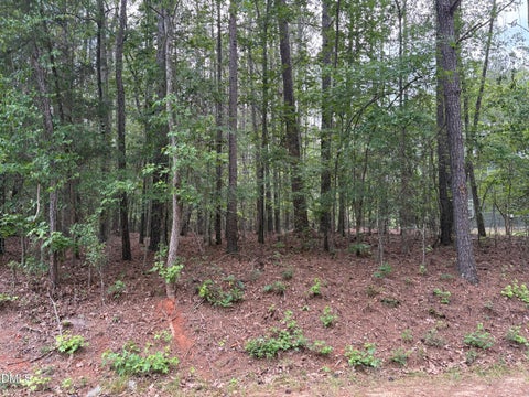 Photo of 147 Sequoia Drive, Louisburg, NC 27549 (MLS # 10173032)