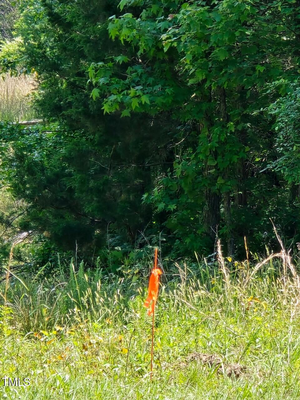 312 Beaver Dam Road