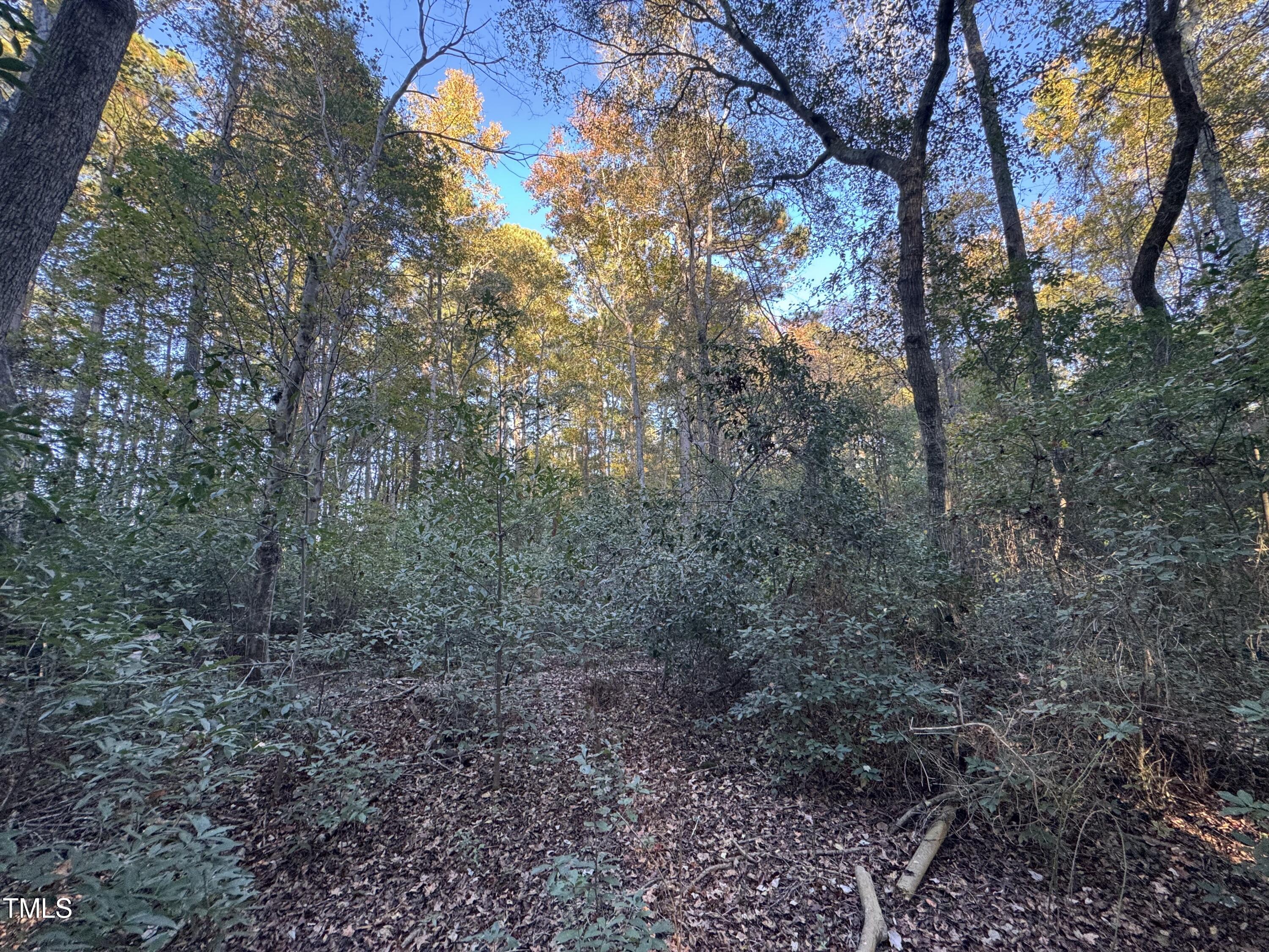 0 Old Creech Rd Road