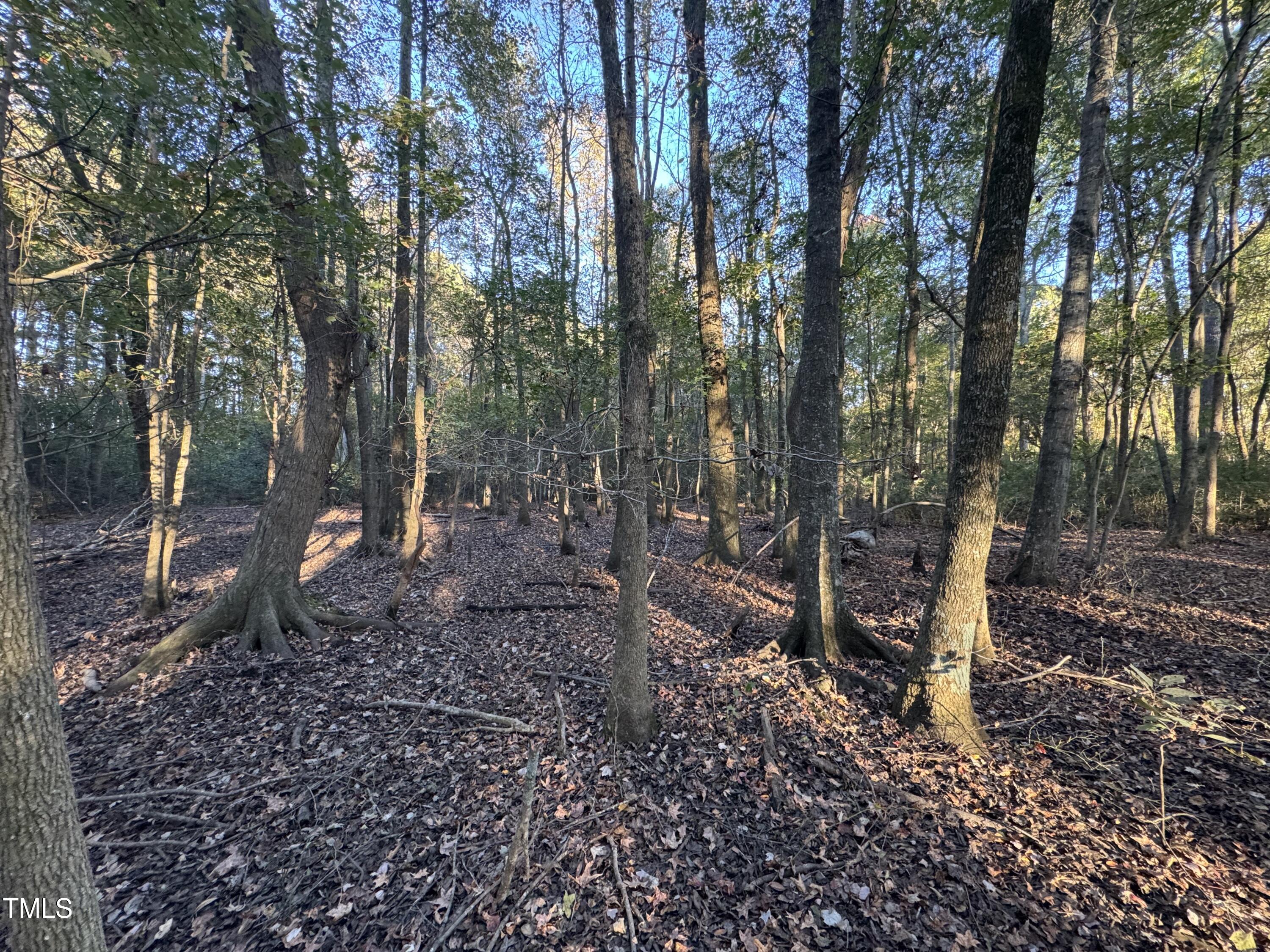 0 Old Creech Rd Road