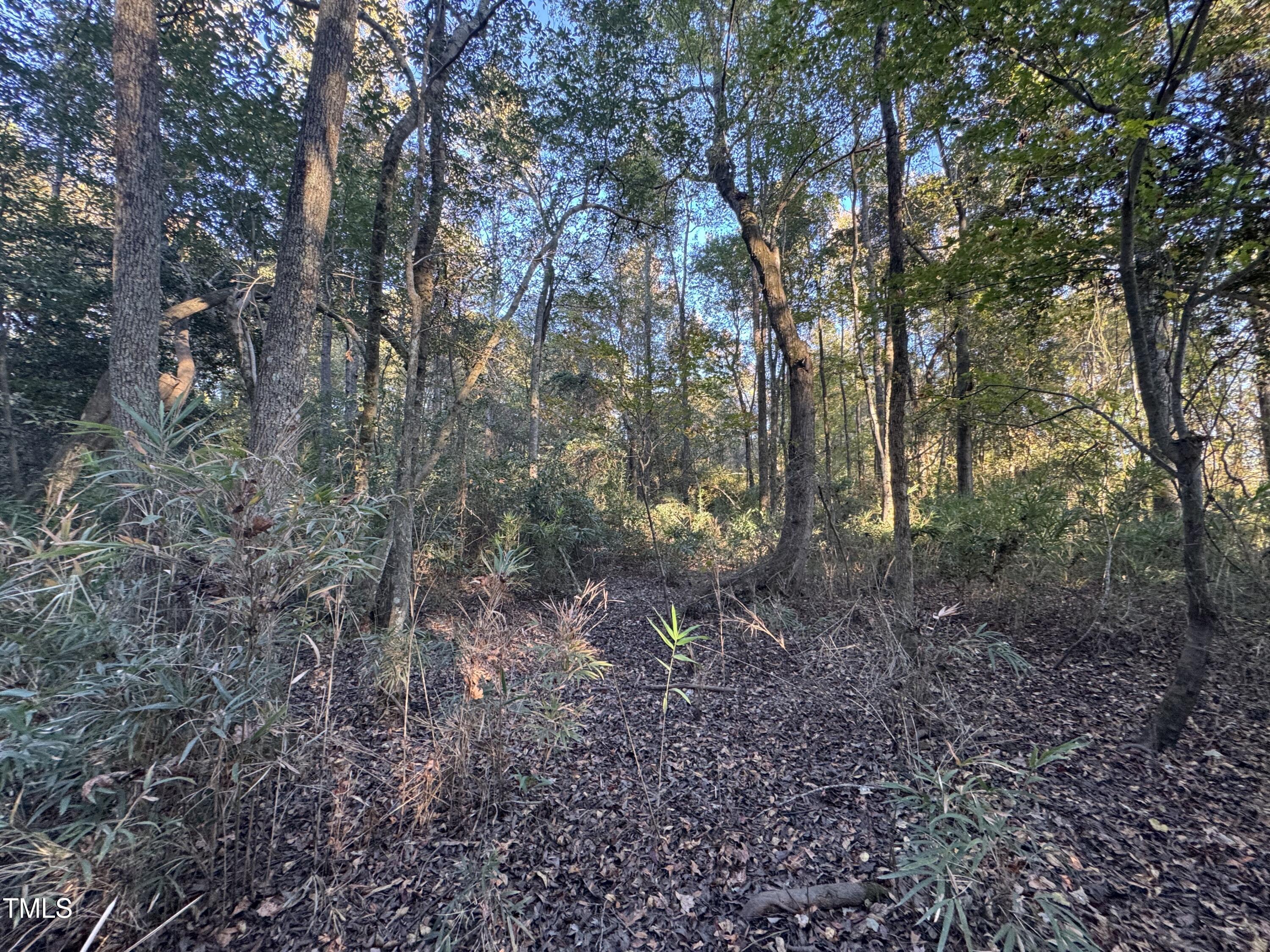 0 Old Creech Rd Road