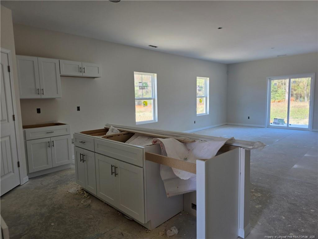 369 Hookbill (LOT 26) Lane